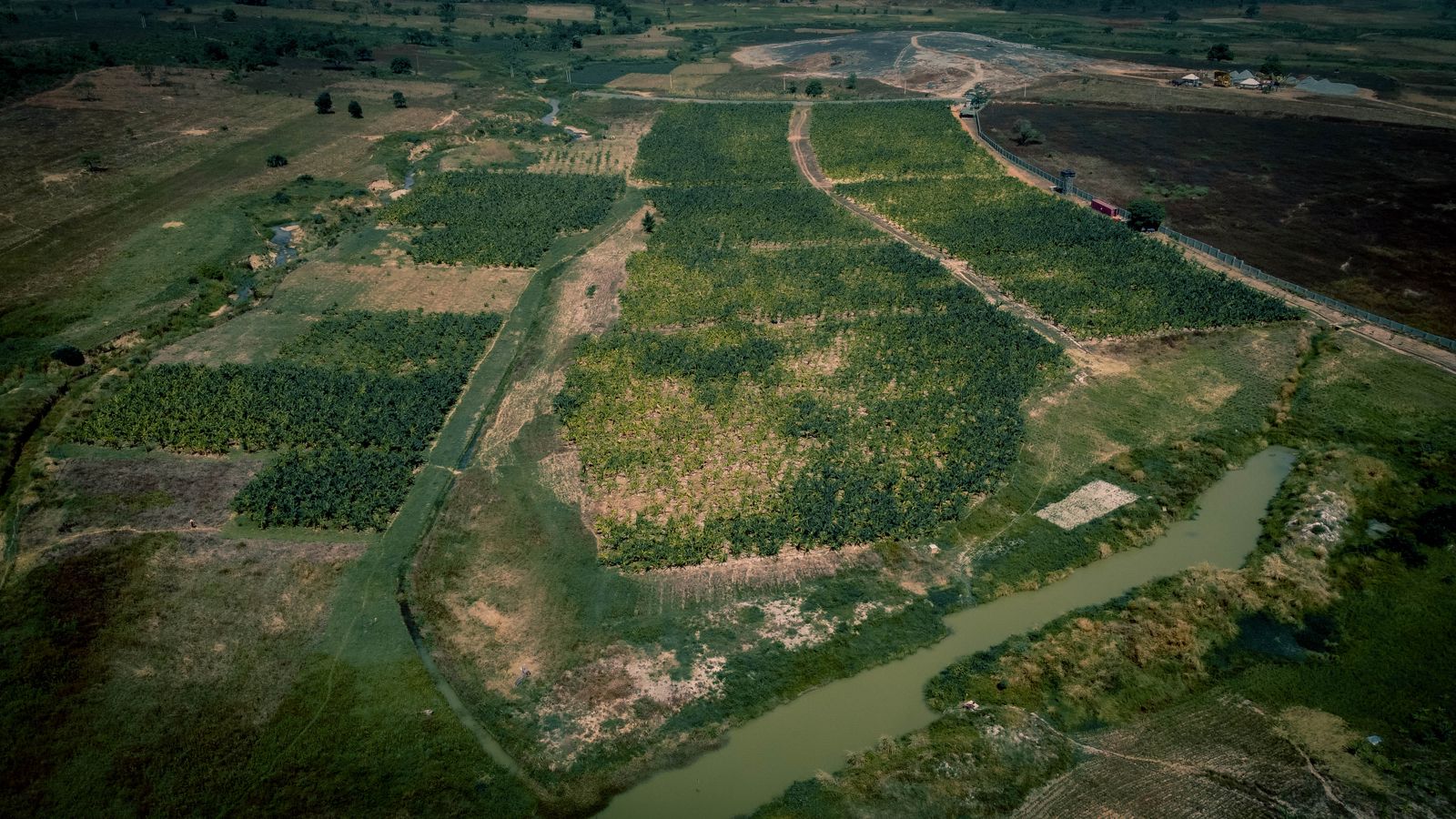 Agricultural food systems